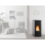 STUFA PELLET KW.20,3 RAFFAELLA IDRO ARGENTO 