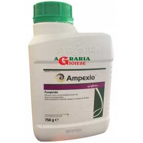 SYNGENTA AMPEXIO FUNGICIDE BASED ON Mandipropamid AND Zoxamide