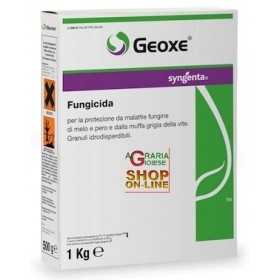 SYNGENTA FUNGICIDE GEOXE KG. 1 FLUDIOXONIL