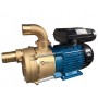 TELLARINI TRANSFER ELECTRIC PUMP WITH HANDLE HP. 1.2 mm. 40