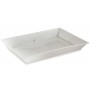 FISH TRAY