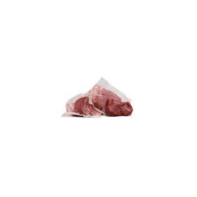 POISON FOR MICE ROGAR X PASTA PLUS BROMADIOLONE BIOCIDE BUCKET