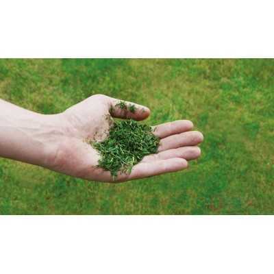 Einhell petrol lawn mower GC-PM 56 S HW -