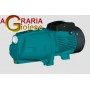 ELETTROPOMPA AUTODESCANTE JET BASSA PREVALENZA HP. 1,5 KW 1,1 