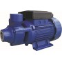 ELETTROPOMPA NEW PERIFERICA PER AUTOCLAVE HP. 0,50 