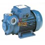 PERIPHERAL ELECTRIC PUMP FOR HP AUTOCLAVE. 0.50 MOD. CM6 / 2