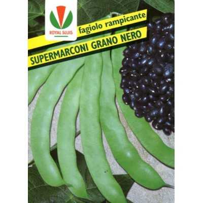 BEAN GR. 500 RAMP. SUPER MARCONI S.NERO ROYAL SEED