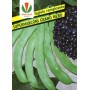 BEAN GR. 500 RAMP. SUPER MARCONI S.NERO ROYAL SEED