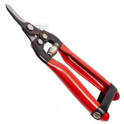 FALCI SCISSORS GRAPE WITH CURVED BLADE CM. 19
