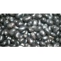 BEAN BEAN FOR SEEDING AND BLACK SUBSTRATE R2 VESUVIUS KG. 25