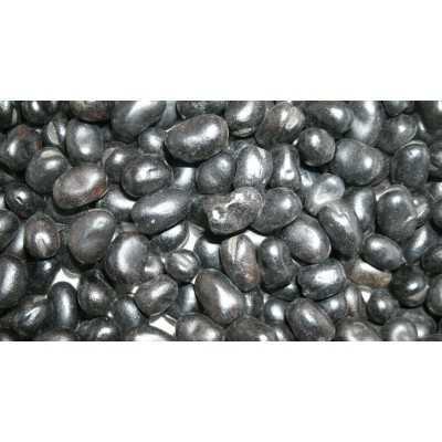 FAVINO PER SEMINA E SOVESCIO NERO R2 VESUVIO KG. 30 