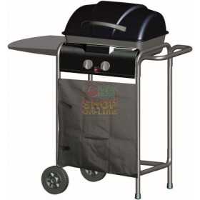GAS BARBECUE WITH LAVA STONE 10-8203N-2