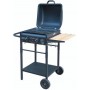 GAS BARBECUE WITH LAVA STONE MOD. ER8203N