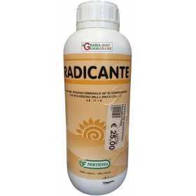 FERTENIA RADICANTE NATURAL PROMOTER BASED ON VEGETABLE EXTRACTS