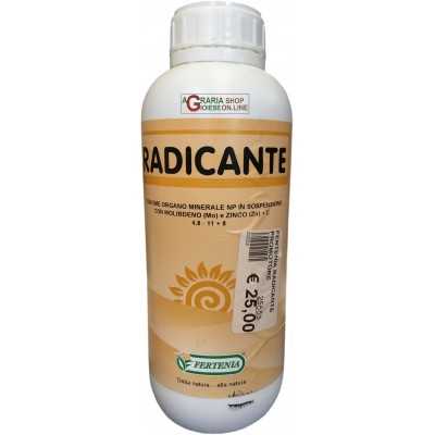 FERTENIA RADICANTE NATURAL PROMOTER BASED ON VEGETABLE EXTRACTS