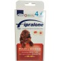 Fipralone spot-on flea and tick pesticide for dogs 40 - 60 kg
