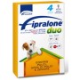 FIPRALONE DUO SPOT ON CAT PESTICIDE FOR SMALL DOGS FROM KG. 2