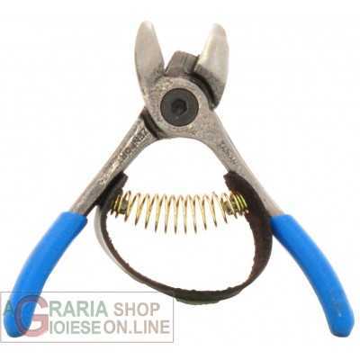 SCISSOR FOR ARTISAN CITRUS