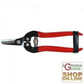 CITRUS FRUIT PRUNING SCISSOR SHORT TIP 16 CM.