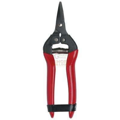 SCISSOR FOR HARVESTING MANDARINS ORANGES LEMONS CITRUS BLADES
