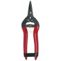 SCISSOR FOR HARVESTING MANDARINS ORANGES LEMONS CITRUS BLADES