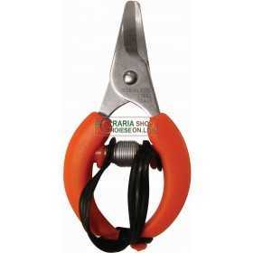 SCISSORS FOR HARVESTING CITRUS ORANGES MANDARINS LEMONS