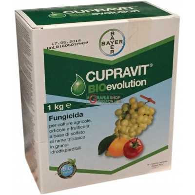 BAYER CUPRAVIT BIOEVOLUTION FUNGICIDE COSENTITO IN AGRICULTURE