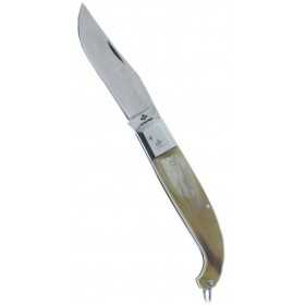 Fraraccio coltello scarperia manico corno cm. 22 cod.