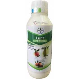 BAYER LUNA EXPERIENCE FUNGICIDE BASED ON Fluopyram and