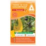 ADAMA TEMOOCID ADHESIVE TRAPS COLORTRAP PLUS WITH FERORMON FOR