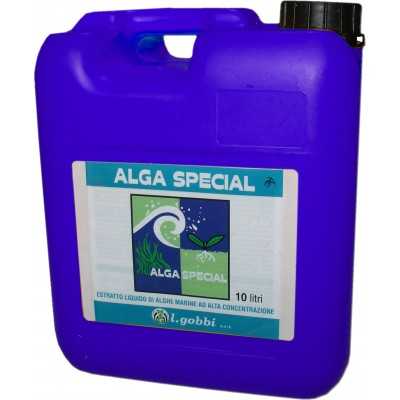 GOBBI ALGA SPECIAL ASCOPHYLLUM NODOSUM STIMULANT LT. 10