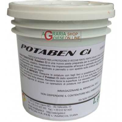 GOBBI POTABEN CI HEALING AND DISINFECTANT PASTE FOR WOUNDS AND
