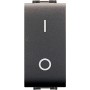 SAFETY STANDARD TWO-POLE SWITCH ART. 4009