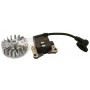 KIT ELECTRIC COIL AND FLYWHEEL FOR BRUSHCUTTER CC. 43 EURO 2