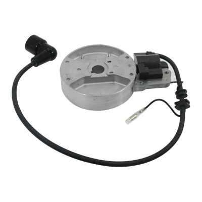 ELECTRIC COIL AND FLYWHEEL KIT FOR EB800 BLOWER