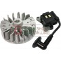 KIT BOBINA VOLANO PER DECESPUGLIATORE KASEI 260 
