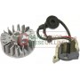 FLYWHEEL COIL KIT FOR BRUSHCUTTER SANDRI GARDEL GBL 34