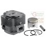 KIT CILINDRO PISTONE PER SOFFIATORE ATOMIZZATORE KASEI 