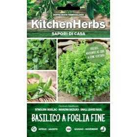 KITCHEN HERBS BASIL SEEDS WITH FINE LEAF