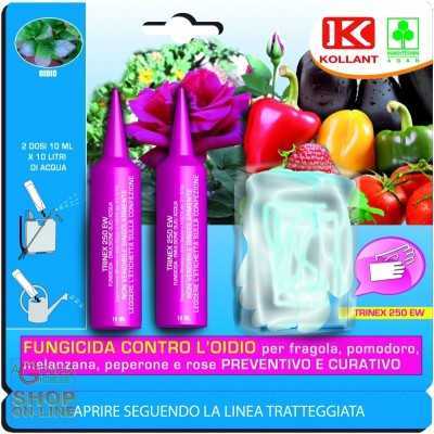 KOLLANT TRINEX 250 EW PZ.2 SINGLE DOSE ML.10