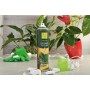 KOLLANT W LUCIDANTE FOGLIARE SPRAY ML. 400 