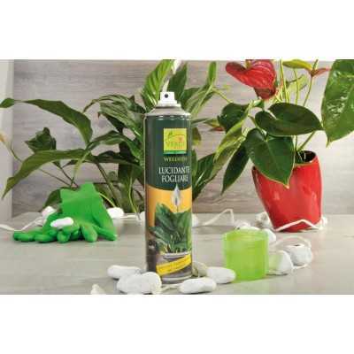 KOLLANT W POLISHING FOLIAR SPRAY ML. 400