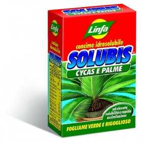 LYMPH FERTILIZERS SOLUBIS CYCAS AND PALMS GR. 500