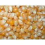 MAIS IBISCO KG. 25 