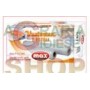 MAX VACUUM ROLLS 2 PCS VUOTOMAX 22 CM