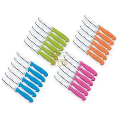 MAX SET 6 TABLE KNIVES -4 COL. ASS.