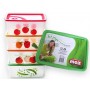 MAX FRIDGE SET 3 VEGETABLE CONTAINERS