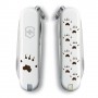 VICTORINOX ORME 2 SPECIAL EDITION SCOIATTOLO 0.62 SE11 