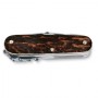 VICTORINOX SWISSCHAMP HORN CHEEKS 1.6791.61