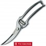 VICTORINOX TRINCIAPOLLI INOX GAZZELLA 